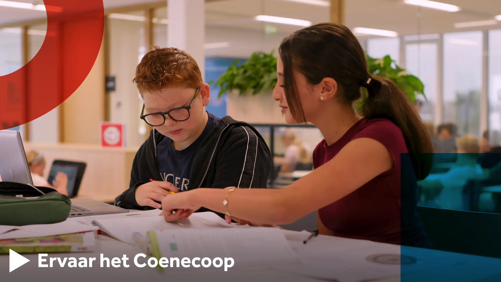 Coenecoop afbeelding